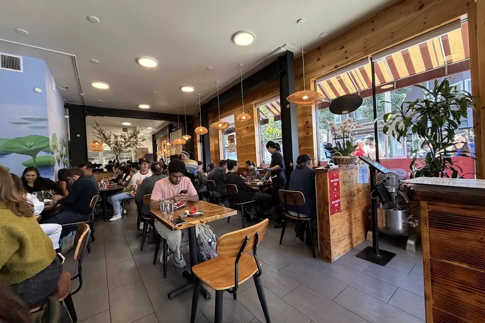 Dumpling Home
